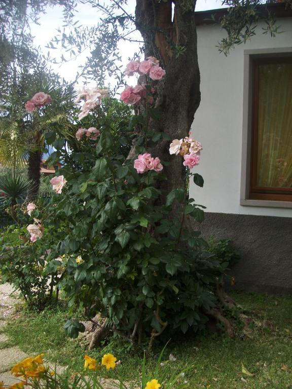 فندق Garni Casa Rabagno مالتشيزينيه المظهر الخارجي الصورة